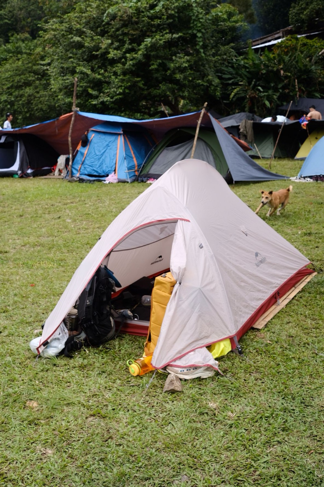 A grey tent pitched on grass at a busy campsite, with a dog running past