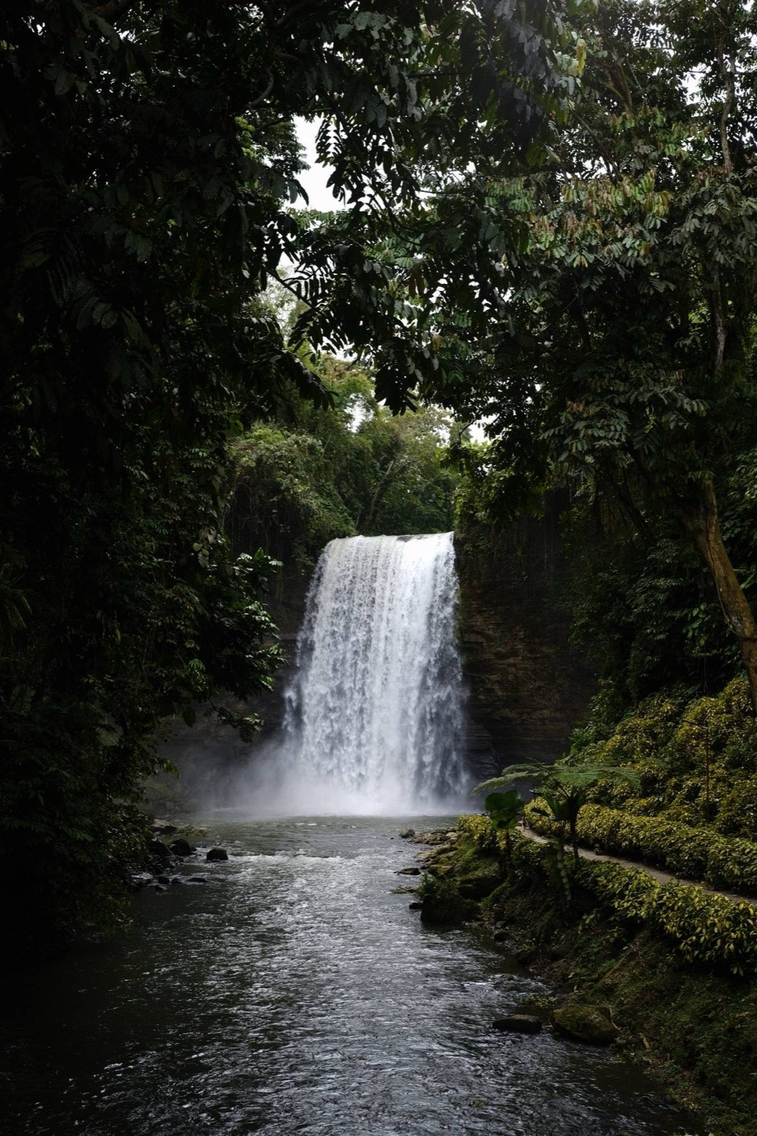 A waterfall dropping into a river, framed by dark jungle trees